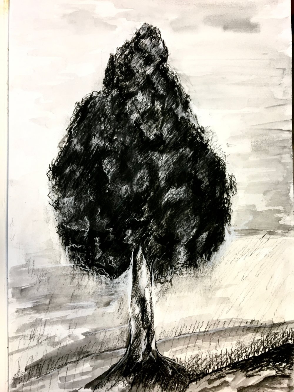 Coal tree